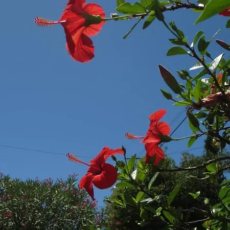 Casa Da Praia | Beach *